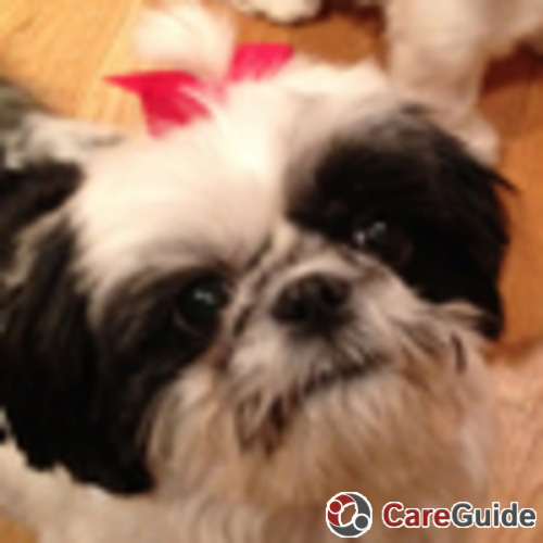Pet Care Job Jean M's Profile Picture