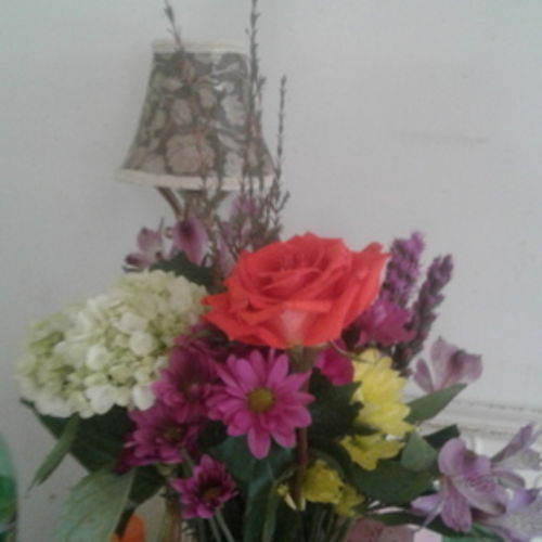 House Sitter Provider Gloria Flintrop's Profile Picture