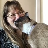 Caring Pet/House Sitter in Novato