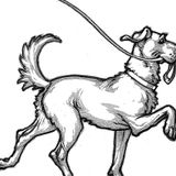 Pet Frist Aid and CPR Certified! Great Overnight Care Available Now!
