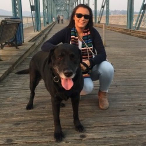 House Sitter Provider Diana M's Profile Picture