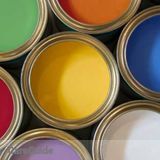 Reliable and Professional Painter