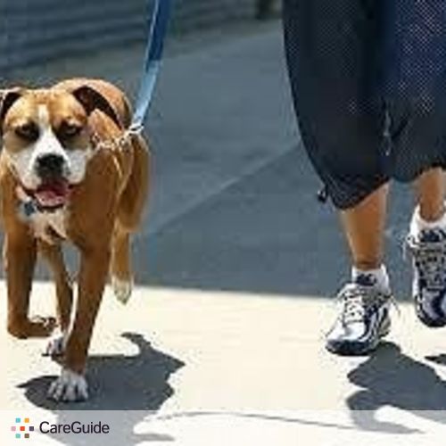 Pet Care Provider Nia A's Profile Picture