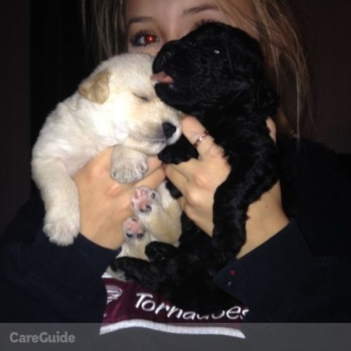 Pet Care Provider Jabie J's Profile Picture