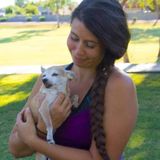 Former teacher, reliable, animal lover, trustworthy.