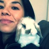 Experienced Veterinary Technician of 11 years and petsitter/housesitter!