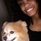 Experienced pet care taker in Bedford