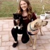 Pet Grooming, Sitting, Walking, and Care Offered in the Peoria Area