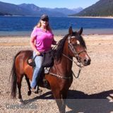 Need a pet sitter close to Cle Elum for dogs and horses