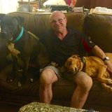 Responsible, Knowledgeable, Loving Retired M.D. Petsitter for Hire