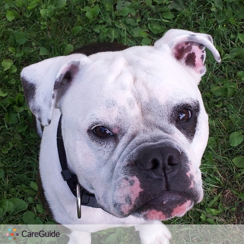 Pet Care Provider Kim G's Profile Picture