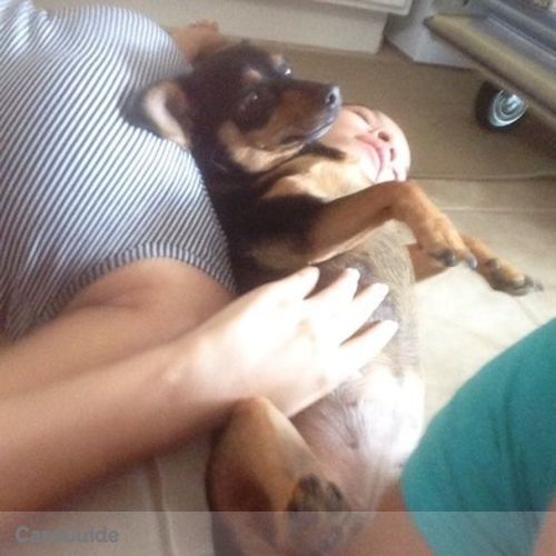 Pet Care Provider Madison Vangen's Profile Picture