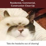 Residential/Commercial cleaning- 20 years experience