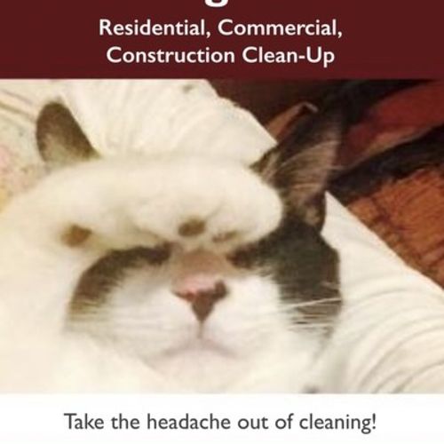 cat cleaning service near me