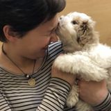 Someone looking to spend time with other peoples amazing pets