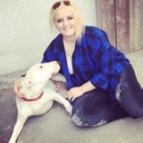 Professional, loving, animal care