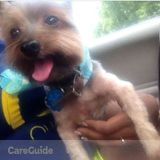 Out of town career ..affordable boarding help