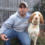 203 Pet Service Your pets best friend since 2004 is looking for work in fairfield County