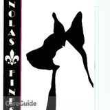 In Your Home Luxe Pet Care Services