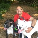 Flexible Dog Walker Wanted Immediately in the Tanyard Springs area in Glen Burnie.