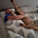 Qualified Petsitter in Rochester