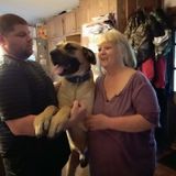 Chambersburg Pet Care Provider Searching for Being Hired in Pennsylvania