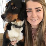 Available For a Pet Care Provider Opportunity in Florence