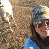 Madera Pet Sitting Professional Available For Being Hired in California