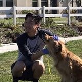 Interviewing For Vista Petsitter/dogwalker Opportunity