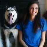 Experienced pet sitter, dog walker, and dog trainer in Hemet, Menifee