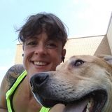 Provide life-long skills to animal companion through interactive exercise and stimulating problem solving games.