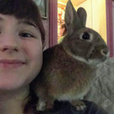 For Hire: Skilled Animal Lover in Oswego