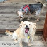 Pet sitter available Mondays-Thursdays!