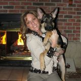 Dog Obedience Training/ Behavior Correction. Dog Daycare