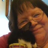 Reliable House Sitter in Fremont