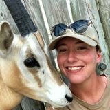 Professional Pet Care Provider For Hire!