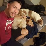 Loving Pet Sitter in Lakeland