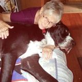 Qualified Animal Sitter in Norco