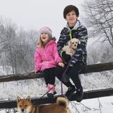 Looking for a regular Sitter