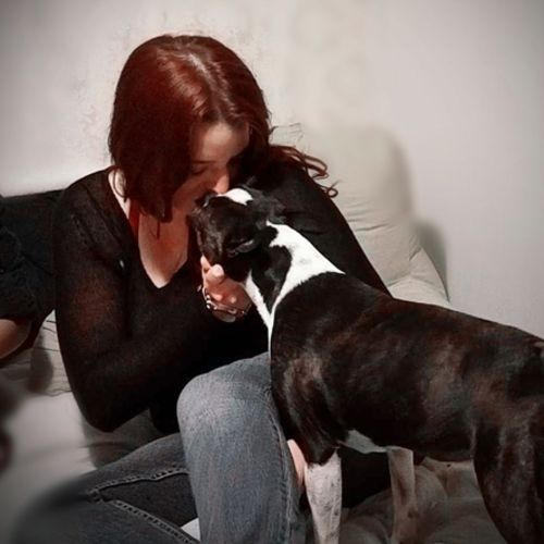 Pet Care Provider Amanda B's Profile Picture