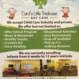Excellent Child Care Provider Here At Carols Little Tree House !
