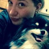 Interested In Fort Worth Petsitter, Texas Jobs