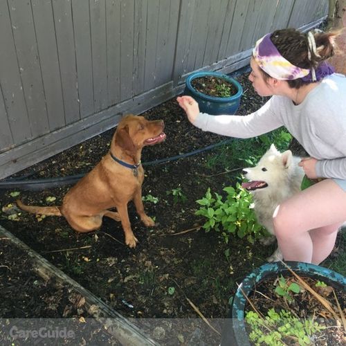 Pet Care Provider Brenda Watman's Profile Picture
