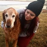 Searching for House Sitter Jobs