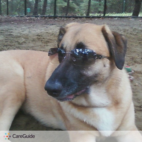 Pet Care Provider April R's Profile Picture