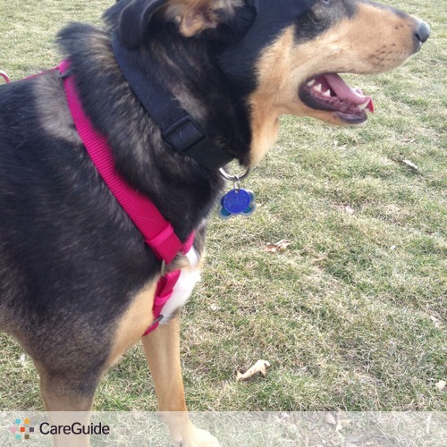 Pet Care Provider Tamara Sage's Profile Picture