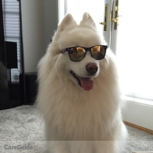Pet Care Provider Shane W's Profile Picture