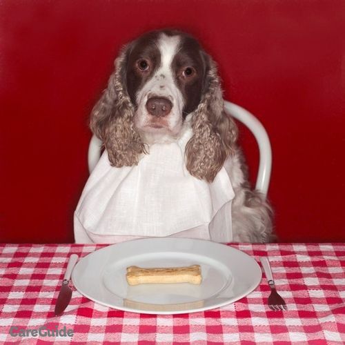 Pet Care Provider Lisa P's Profile Picture
