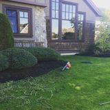 Remarkable lawn and gardens