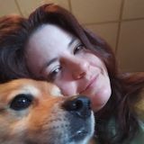 For Hire: Flexible House Sitter in Lebanon, Ohio